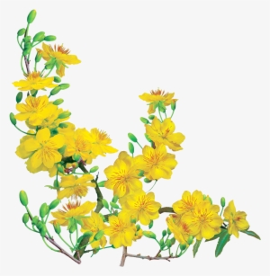 Rãnh Làm Luôn Cho Ae Thiết Kế Nè,thêm Một Số Hình Của - Ochna Integerrima #3865474