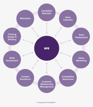 Sales Force Effectiveness - Internationalisation Of The Curriculum #3865812