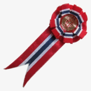 17mairosett1band - 17 Mai Sløyfe Png #3865950