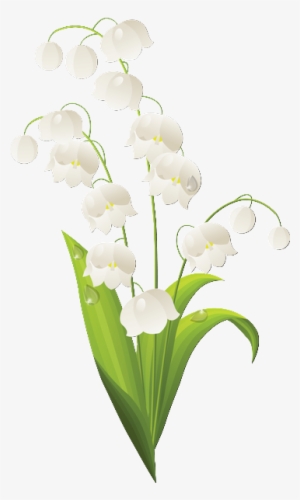 1er Mai - Lily Of The Valley Outline #3866290