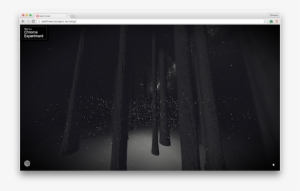 Photo - Photograph #3868099