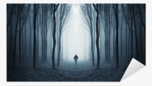 Art Print: Photoinc Studio's Dark Woods, 26x50in. #3868235