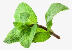 Mint Hd - Free Mint #3868645