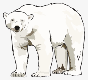 Art Polar Bear Clipart Kid - Art #3868647