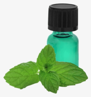 Peppermint Essential Oil The #1 Most Powerful Energy #3869916 Peppermint Essential Oil The #1 Most Powerful Energy #3869916
