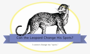 Jaguar-banner - Leopard #3870793