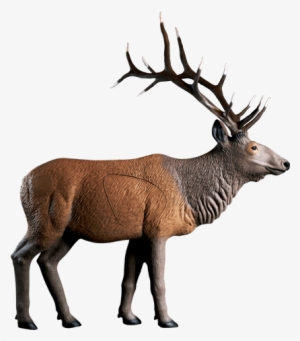 Embroidered Hat - 3d Archery Targets #3871359