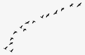 Game Of Thrones Every Flight Begins #3871422