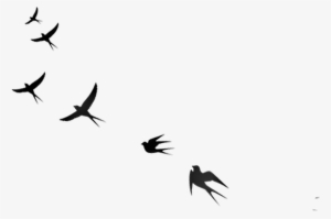 Ftestickers Sticker - Flock #3871805