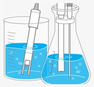 Biochemistry / General Biology - Science #3871975