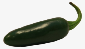 Jalapeno-1472016 960 - Imagen De Un Chile Jalapeño #3872793