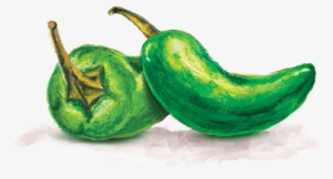 Vegetable Oil - Miss Vickie's Jalapeno Chips #3873288