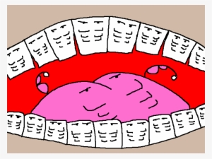 Bicuspid Six-pack #3873603