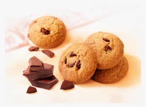 Hse Pur Beurre Chocolat #3874747