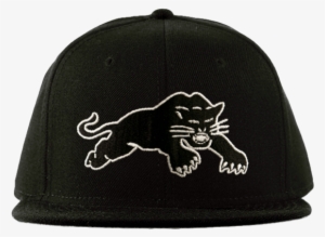 Black Panthers Hat - Baseball Cap #3875177