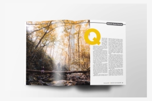 State Forest - Forest #3876166