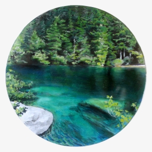 Forest #3876372