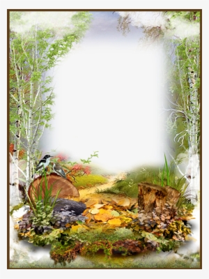 Photo Frame Autumn In The Forest #3876434