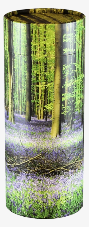 Bio Tubes - Scatter Tubes #3876517