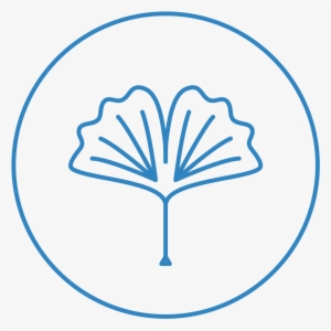 Ancient Forest - Circle #3876602