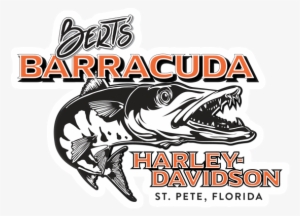 Bert's Barracuda Harley Davidson #3878273