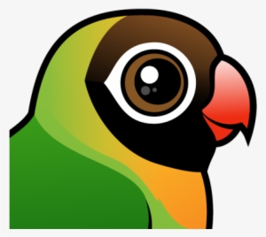 About The Black-cheeked Lovebird - Lovebird Black Cheeked Cartoon #3878448