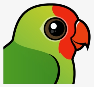 About The Red-headed Lovebird - Lovebird #3878588
