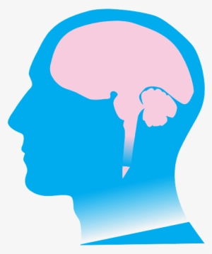 Ri 4 Copy - Brain #3878980