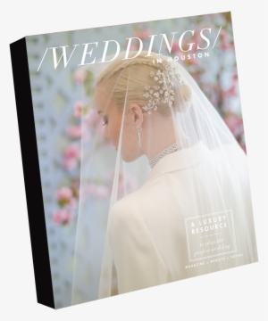 Weddings In Houston - Bride #3880145