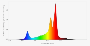 Red Light - Photon #3880430