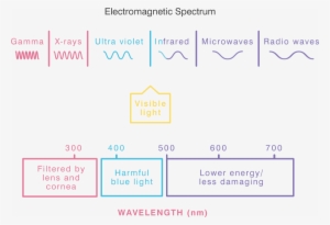 Electromagnetic Spectrum And Visible Light - Mcat Light Spectrum - Free ...