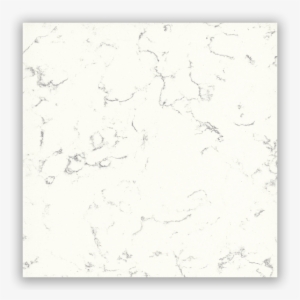 Coarsecarrarads - Sketch #3881622