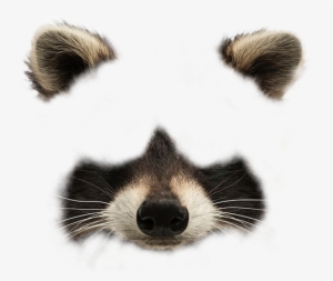 Animal Face Messages Sticker-9 - Face #3882152