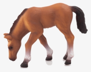 Arabian Foal Eating - Mojo Arabian Foal #3883367