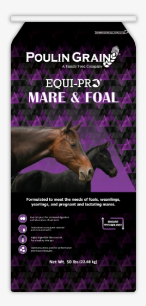 Equi-pro Mare & Foal - Mare #3883673
