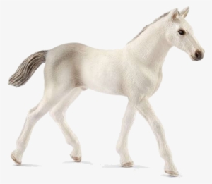 Schleich Foal #3883724
