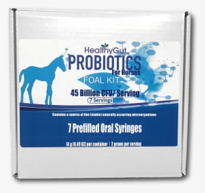 Healthygut™ Foal Probiotics Kit - Horse #3883973