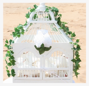 When You're Celebrating Your Maui Destination Wedding, - Shrine #3884029