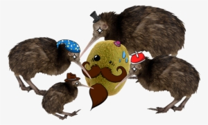 Kiwi Hat Is All About Delivering High Quality Kiwis - Rat #3884131