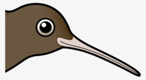 About The Brown Kiwi - Bird Cartoon #3884159