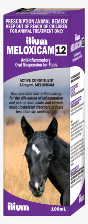 Meloxicam 12 Foal Suspension 100 Ml - Foal #3884218