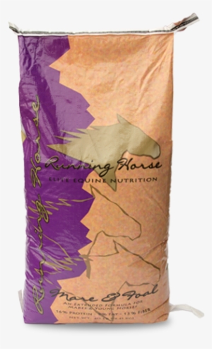 Running Horse - Mare #3884371