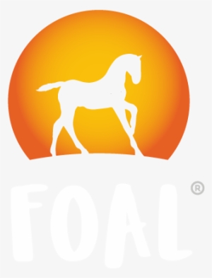 Logo Logo Logo - Soft Drink #3884437 Logo Logo Logo - Soft Drink #3884437