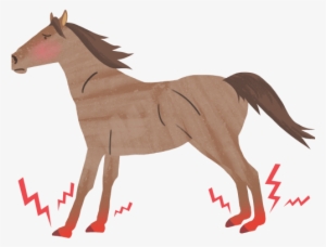 Piavita Use Cases Illustration - Munich #3884547