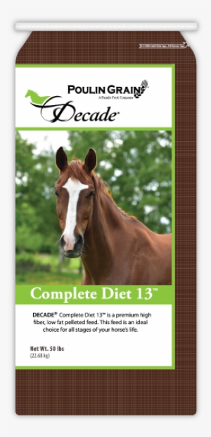 Pferdegesicht Mit Markierung Post-it Klebezettel #3884697