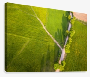 Drone Photo Of The Crossroad Between Trees In Colorful - Field #3885978