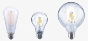Incandescent Light Bulb #3886950