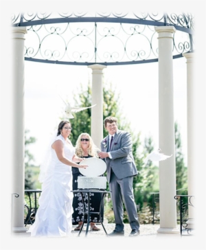 Melissa Photography & Design Mr - Photograph #3887282