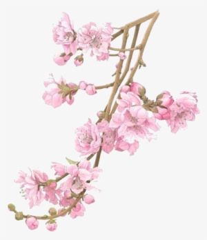 When The Peach Tree Blossomed We Trimmed The Branches - Flower Tree Branch Png #3887428