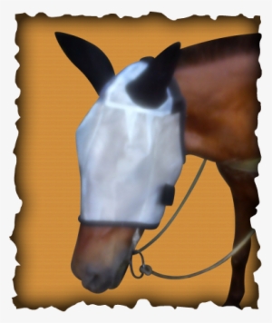 Fly Mask Article - Blog #3887466